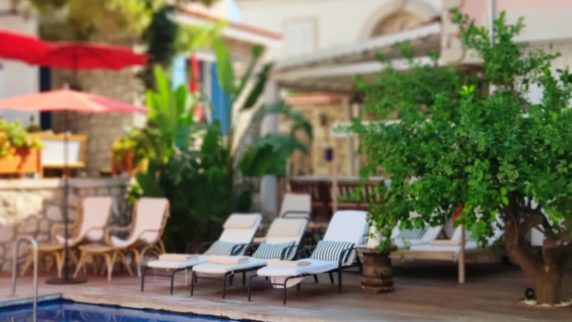 Viento Alacati Hotel (Adults Only) Türkiye